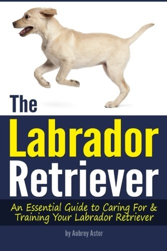 The Labrador Retriever: An Essential Guide to Caring For and Training Your Labrador Retriever ( How to Train a Labrador Retriever | Labrador Training Tips )