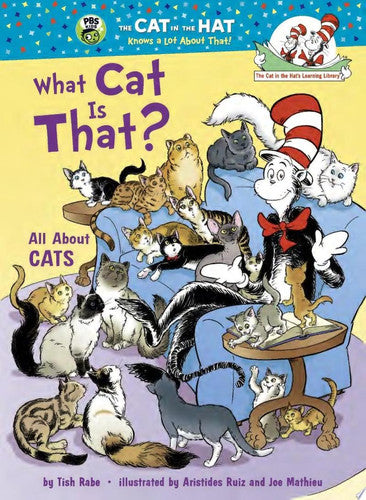 What Cat Is That? All About Cats