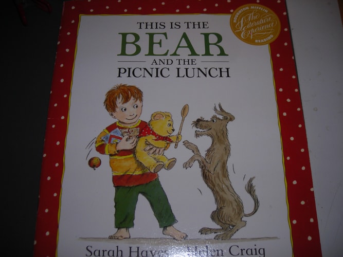This is Bear (Literature Experience)