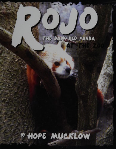 Rojo the Baby Red Panda at the Zoo: An Allegory about Self-Worth Through a Red Panda and Giant Panda Comparison
