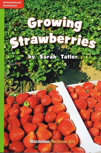 Growing Strawberries (GR L; Benchmark 24; Lexile 610) by Sarah Tatler (2006-08-01)