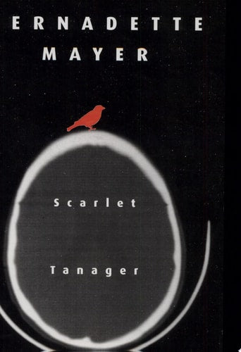 Scarlett Tanager: Poetry
