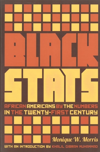Black Stats: African Americans by the Numbers in the Twenty-first Century