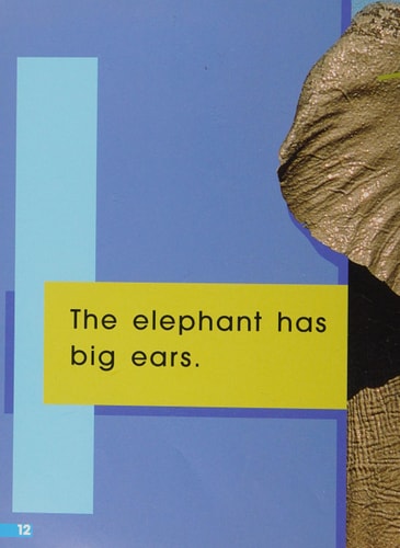 Big Ears, Satellite: Leveled Reader (Sails: Emergent-Magenta)