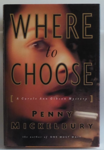 Where to Choose: A Novel