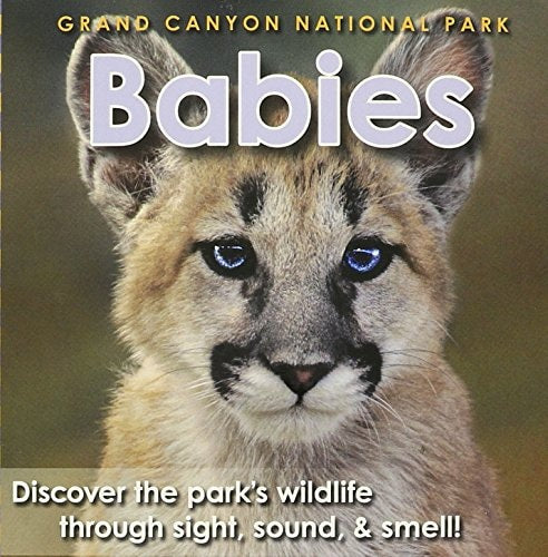 Grand Canyon Babies