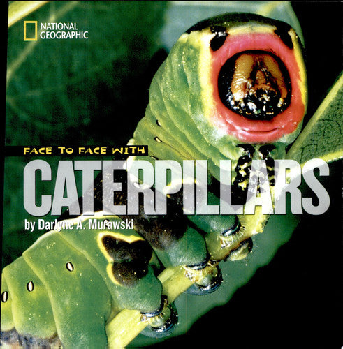 Face to Face with Caterpillars