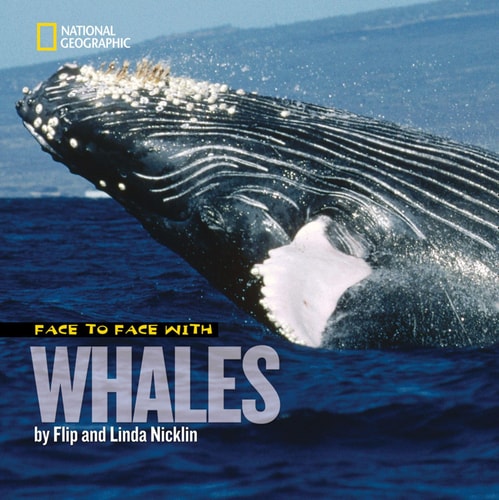 Face to Face with Whales (Face to Face with Animals)