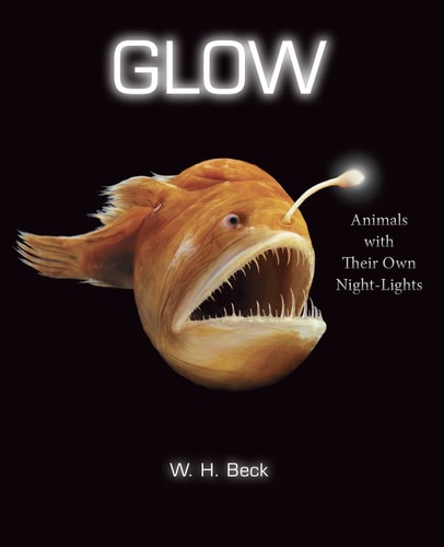 Glow Animals with Their Own Night-lights