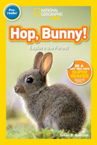 Hop, Bunny! Explore the Forest
