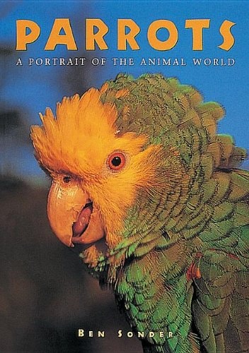Parrots (A Portrait of the Animal World)