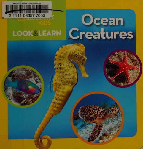 Ocean Creatures