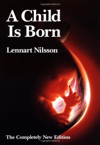 A Child Is Born
