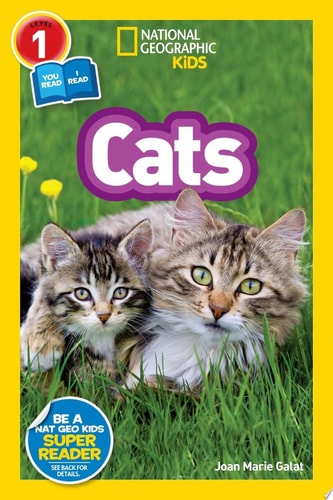 Cats, Level 1