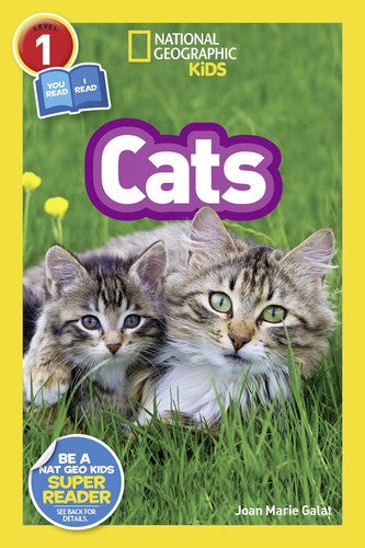 Cats, Level 1