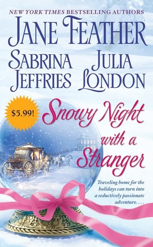 Snowy Night with a Stranger