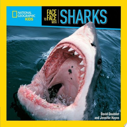 Face to Face with Sharks (Face to Face with Animals)