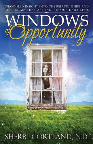 Windows of Opprotunity