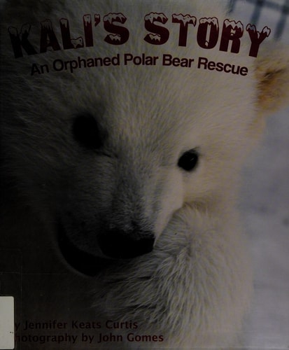 Kali's Story: An Orphaned Polar Bear Rescue