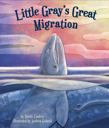 Little Gray's Great Migration (Arbordale Collection)