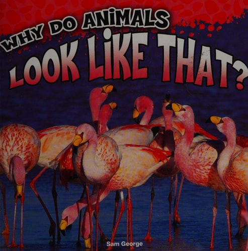 Rourke Educational Media Why Do Animals Look Like That?