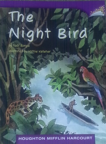 The Night Bird