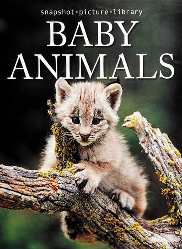 Baby Animals (Snapshot Picture Library)