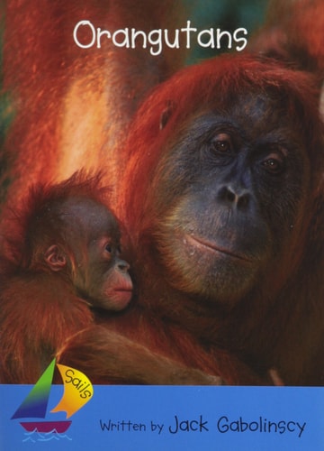 Orangutans: Leveled Reader (Rigby Sails Early)