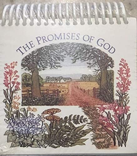 The Promises of God: Small-Size Daybrightener