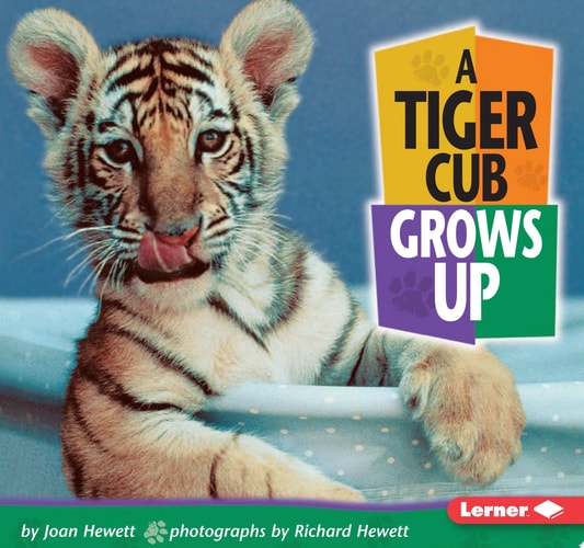 A Tiger Cub Grows Up (Baby Animals)