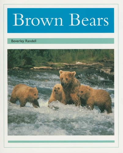 Brown Bears: Individual Student Edition Turquoise (Levels 17-18)