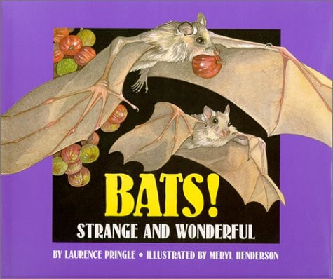 Bats!: Strange and Wonderful