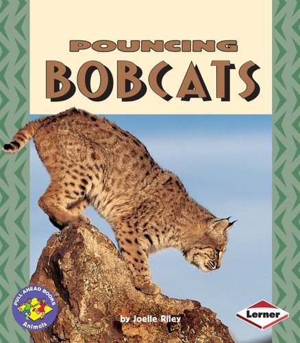 Pouncing Bobcats (Pull Ahead Books ? Animals)