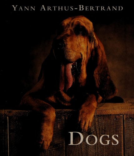 Dogs