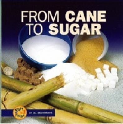 From Cane to Sugar (Start to Finish)