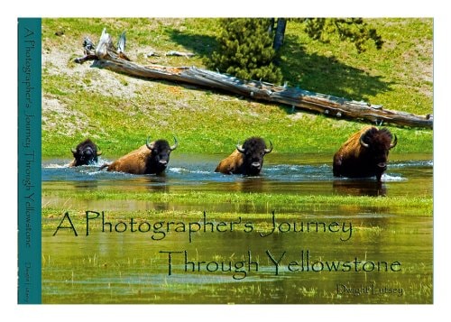 A Photographer's Journey Through Yellowstone