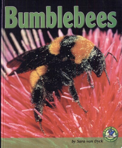 Bumblebees (Early Bird Nature Books)
