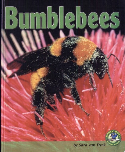 Bumblebees (Early Bird Nature Books)