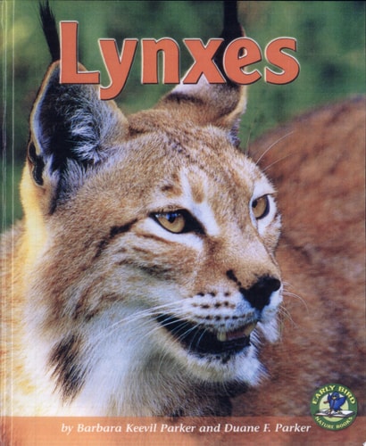 Lynxes (Early Bird Nature Books)