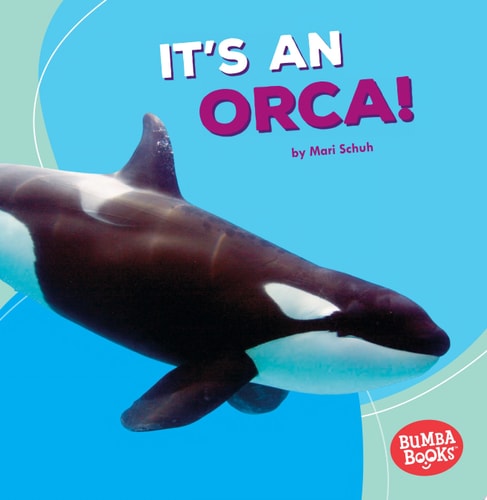 It's an Orca! (Bumba Books ® ? Polar Animals)