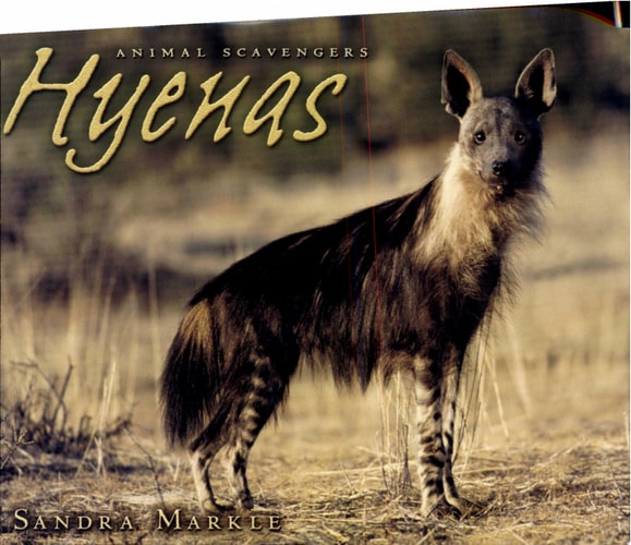 Hyenas (Animal Scavengers)