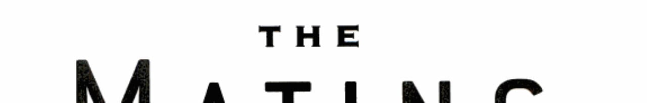 The Mating Game: In Search Of The Meaning Of Sex