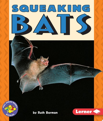 Squeaking Bats (Pull Ahead Books ? Animals)