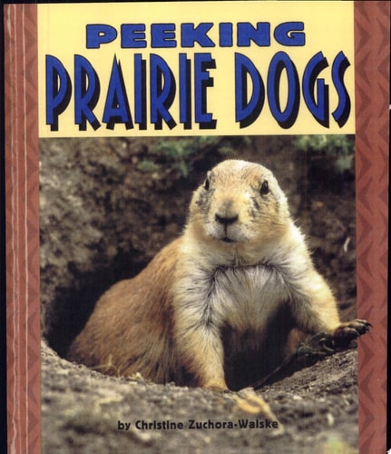 Peeking Prairie Dogs (Pull Ahead Books)