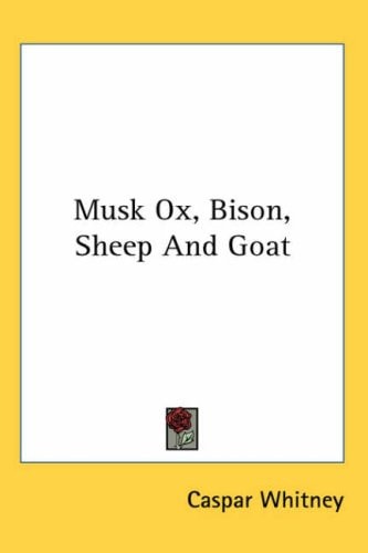 Musk Ox, Bison, Sheep And Goat