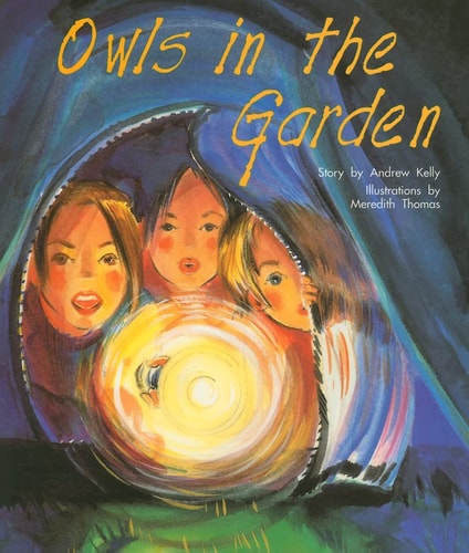 Owls In the Garden: Individual Student Edition Gold (Levels 21-22) (Rigby PM Collection)