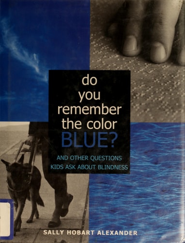 Do You Remember the Color Blue?: The Questions Children Ask About Blindness
