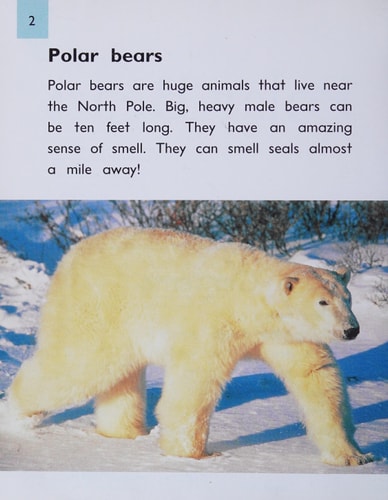 Polar Bears (Pms) (Rigby PM Collection)