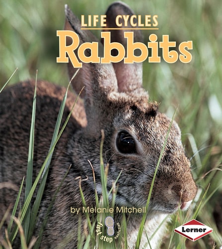Rabbits (First Step Nonfiction ? Animal Life Cycles)