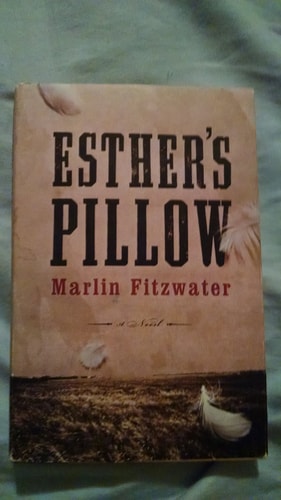 Esther's Pillow: A Novel